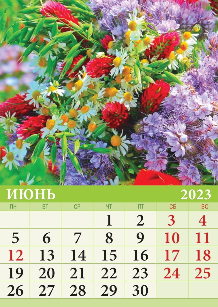 Календарь на магните 2023 07-23010 Цветы Фото 6