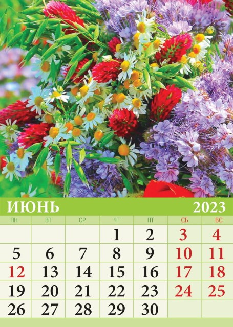 Календарь на магните 2023 07-23010 Цветы Превью 6