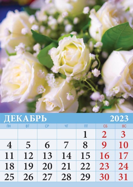 Календарь на магните 2023 07-23010 Цветы Превью 12