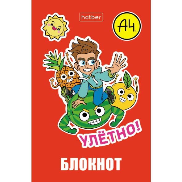 Блокнот А7 48л кл Влад А4 Превью 1