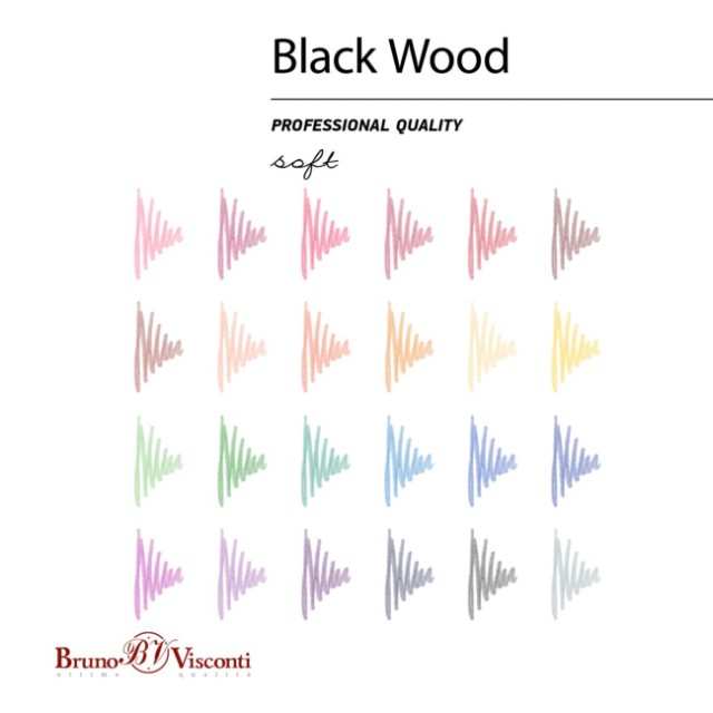 Карандаши цветные 24 цв пластик BV BlackWoodColor Превью 4