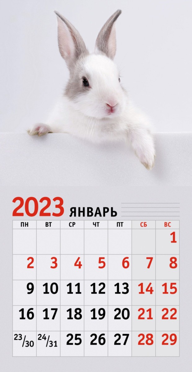 Календарь настенный 2023 КС122313 Символ года. 1 Фото 1