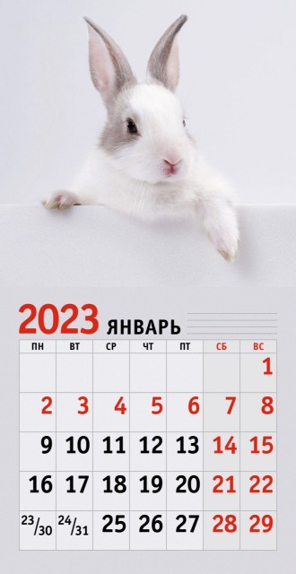Календарь настенный 2023 КС122313 Символ года. 1 Превью 1
