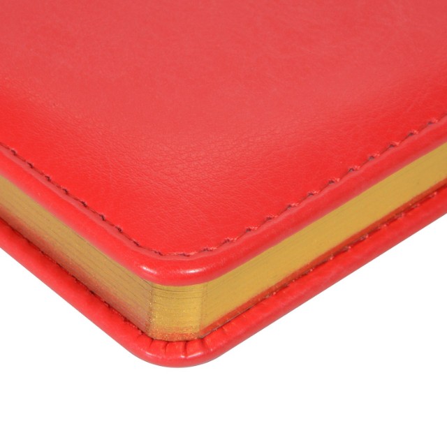 Ежедневник А5 Sidney Nebraska красный недат Превью 9