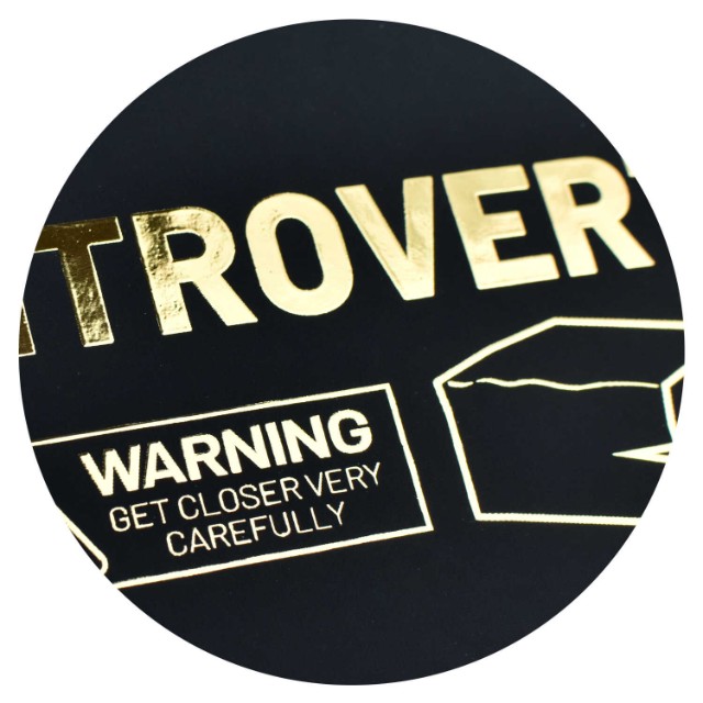 Дневник ст кл иск.кожа Интроверт Превью 1