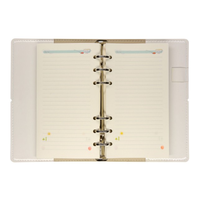 Зап. книжка А6 160л лин тв BV Daily journal со сменным блоком на кольцах, блок с иллюстрациями (8 видов) Превью 6