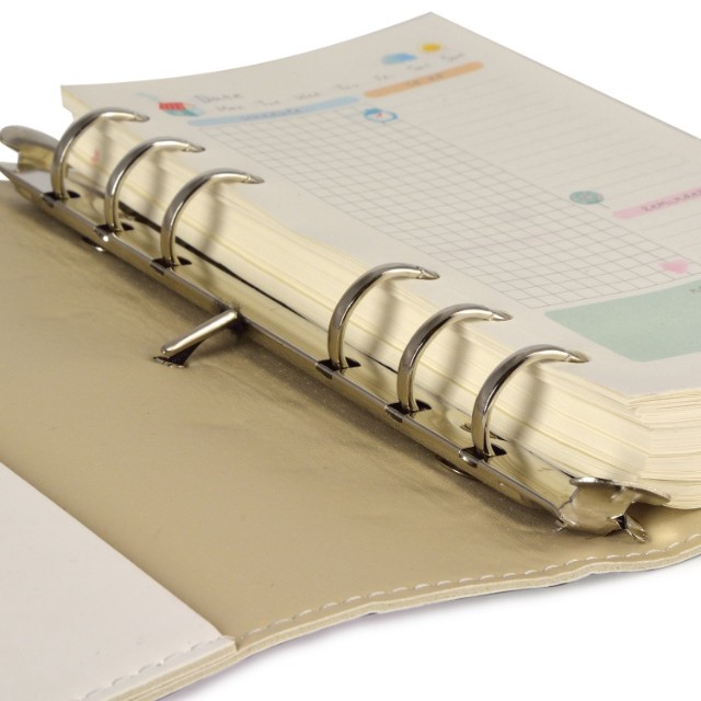 Зап. книжка А6 160л лин тв BV Daily journal со сменным блоком на кольцах, блок с иллюстрациями (8 видов) Превью 27