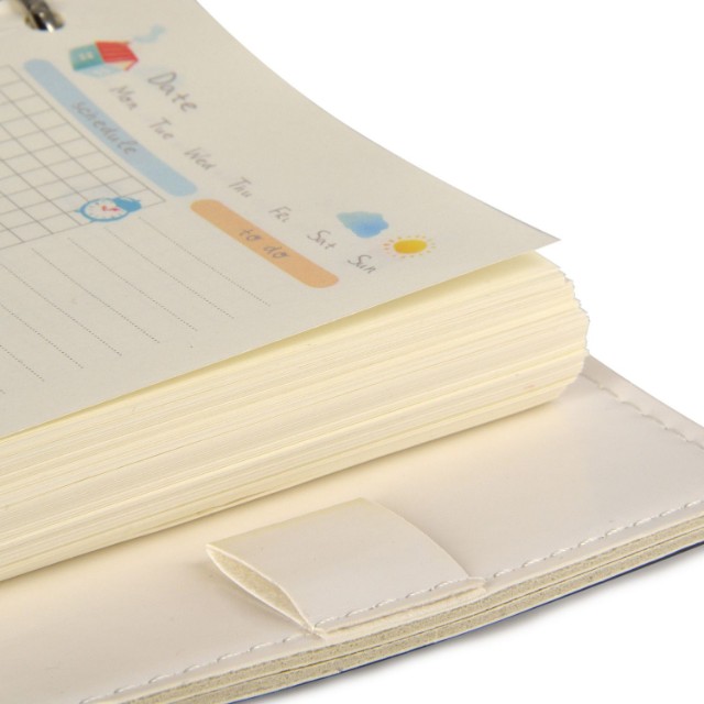 Зап. книжка А6 160л лин тв BV Daily journal со сменным блоком на кольцах, блок с иллюстрациями (8 видов) Превью 2