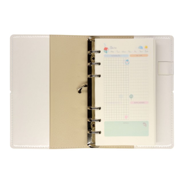 Зап. книжка А6 160л лин тв BV Daily journal со сменным блоком на кольцах, блок с иллюстрациями (8 видов) Превью 10