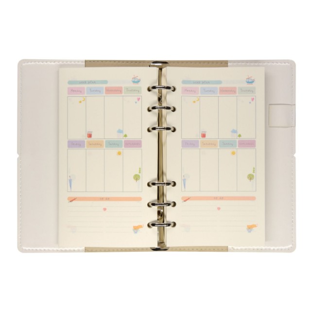 Зап. книжка А6 160л лин тв BV Daily journal со сменным блоком на кольцах, блок с иллюстрациями (8 видов) Превью 7