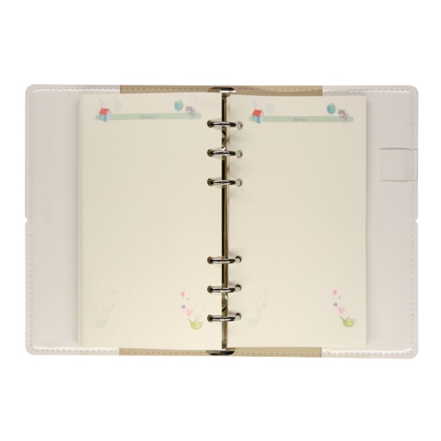 Зап. книжка А6 160л лин тв BV Daily journal со сменным блоком на кольцах, блок с иллюстрациями (8 видов) Превью 11