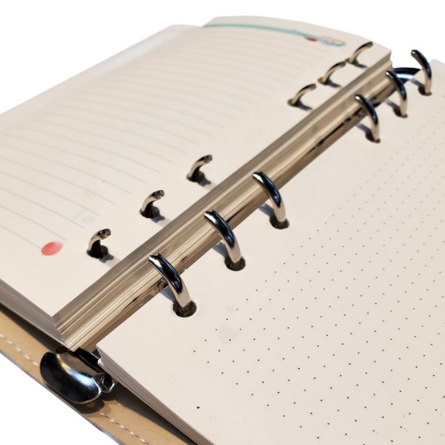 Зап. книжка А6 160л лин тв BV Daily journal со сменным блоком на кольцах, блок с иллюстрациями (8 видов) Превью 23