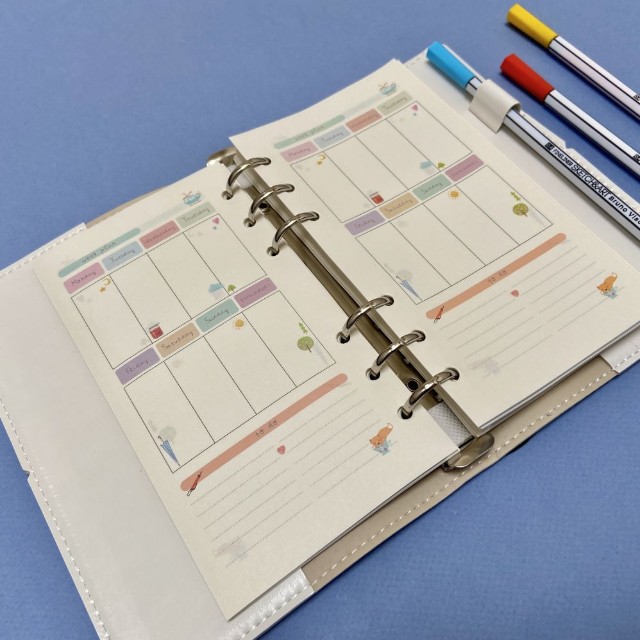 Зап. книжка А6 160л лин тв BV Daily journal со сменным блоком на кольцах, блок с иллюстрациями (8 видов) Превью 19