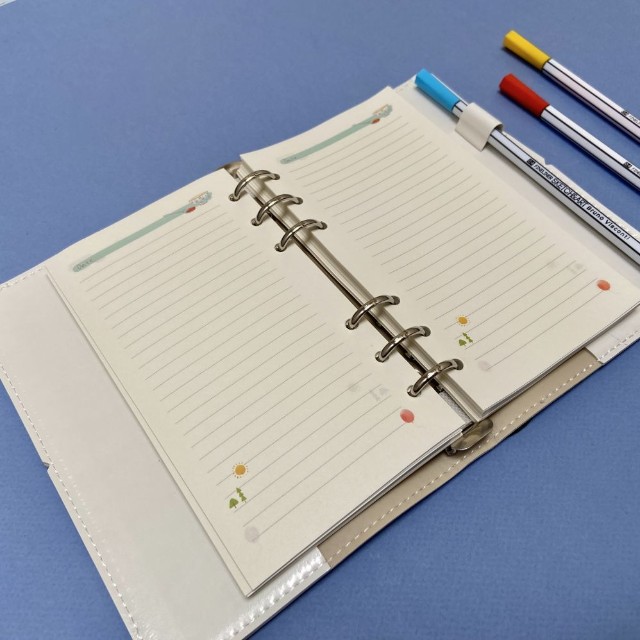 Зап. книжка А6 160л лин тв BV Daily journal со сменным блоком на кольцах, блок с иллюстрациями (8 видов) Превью 25