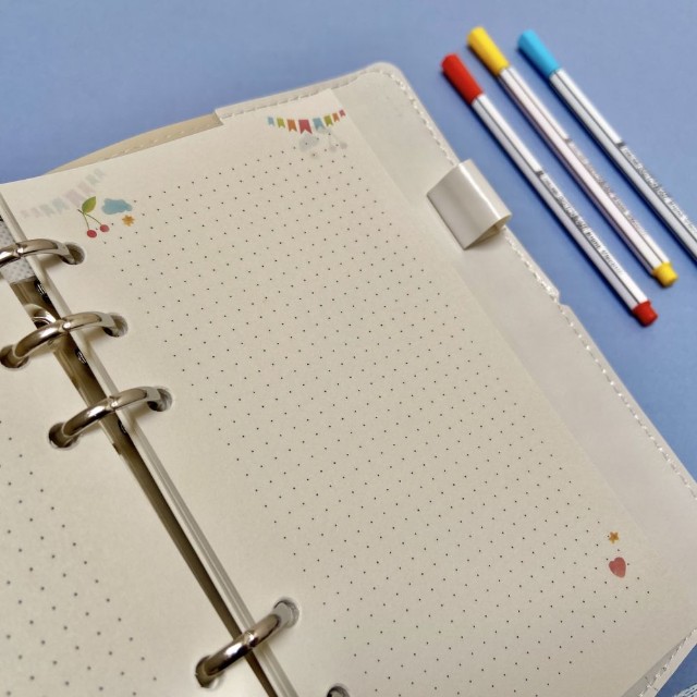 Зап. книжка А6 160л лин тв BV Daily journal со сменным блоком на кольцах, блок с иллюстрациями (8 видов) Превью 5