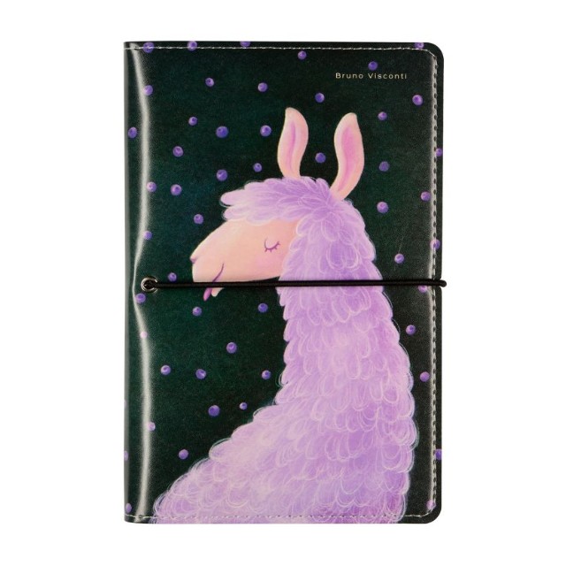 Зап. книжка А6 160л лин тв BV Daily journal со сменным блоком на кольцах, блок с иллюстрациями (8 видов) Превью 33