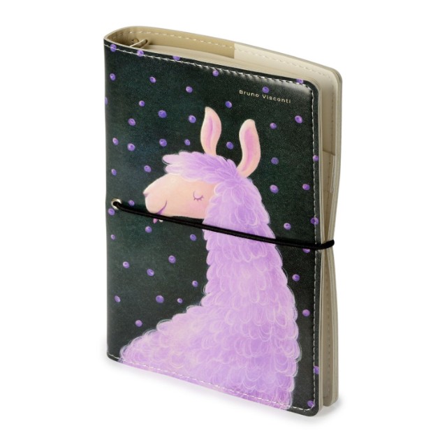 Зап. книжка А6 160л лин тв BV Daily journal со сменным блоком на кольцах, блок с иллюстрациями (8 видов) Превью 30