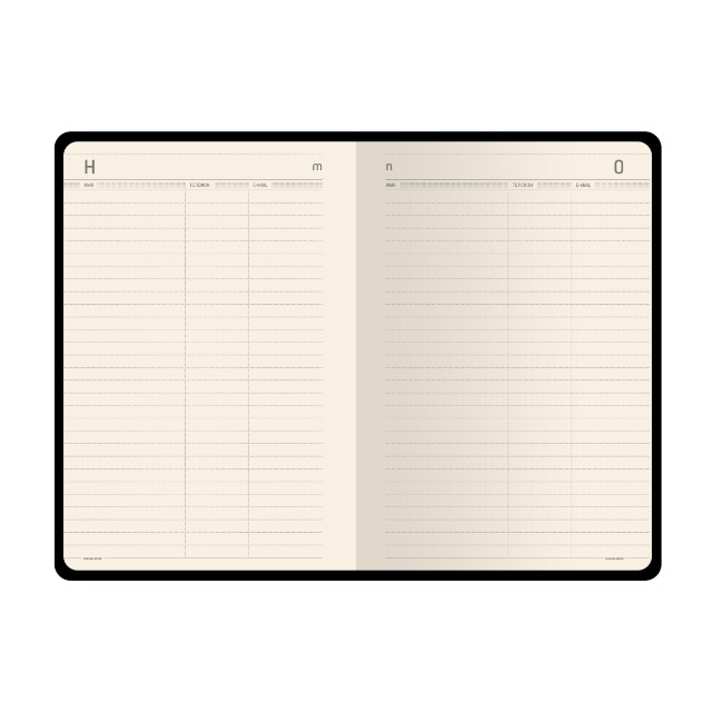 Набор подар BV Megapolis flex золото ежедневник А5 + ручка, в подар. коробке Превью 3