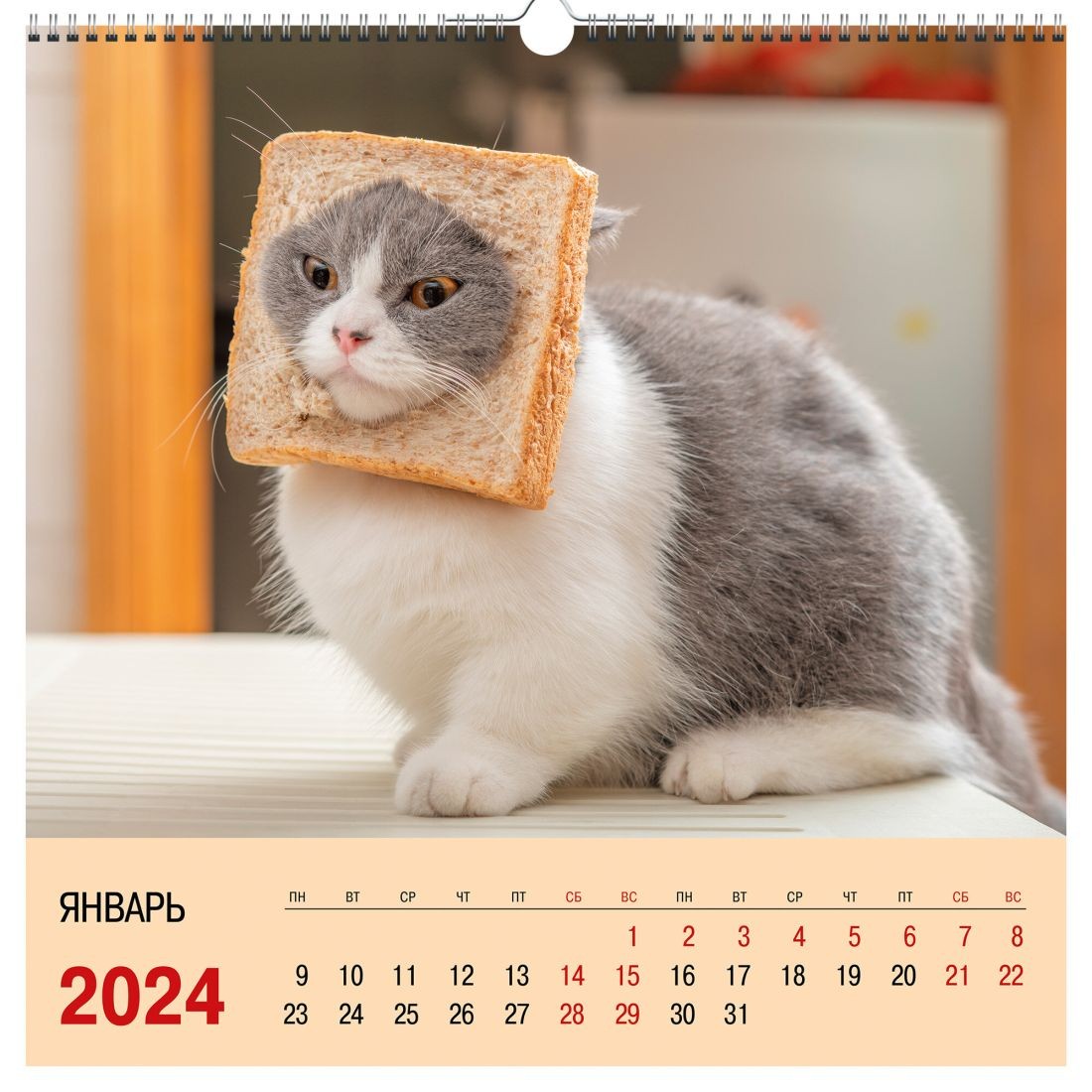 Календарь настенный 2024 КПКС2420 Домашние любимцы. 5 Фото 3