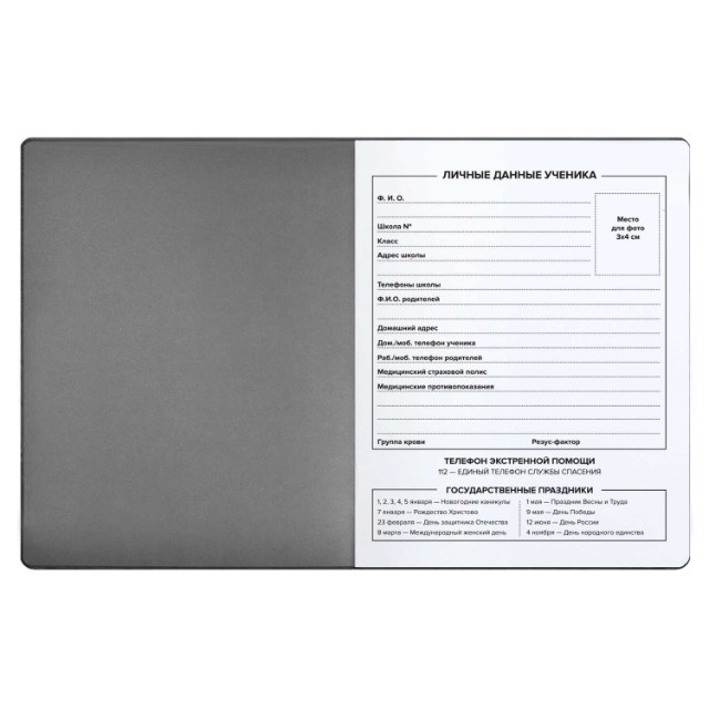 Дневник ст кл иск.кожа Скейтбордист Превью 8