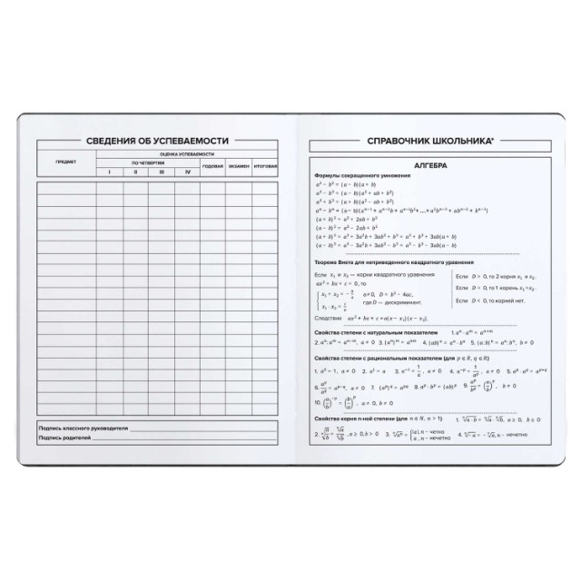 Дневник ст кл иск.кожа Скейтбордист Превью 2