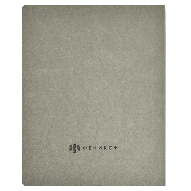 Дневник ст кл иск.кожа Скейтбордист Превью 10