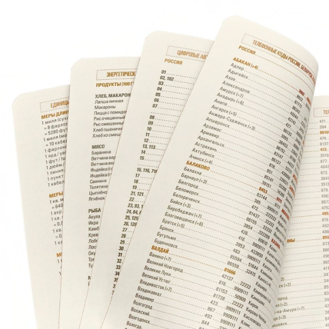 Ежедневник А5 BV Monaco на резинке зеленый недат Превью 12