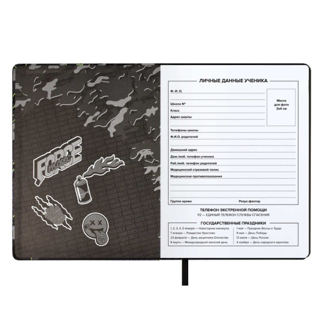 Дневник ст кл иск.кожа Камуфляж Превью 5