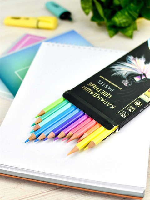 Карандаши цветные 12 цв Пастель, для худ. работ Превью 2