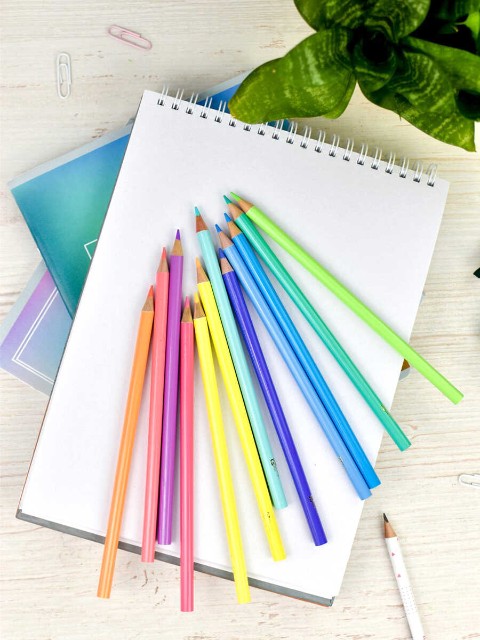 Карандаши цветные 12 цв Пастель, для худ. работ Превью 7