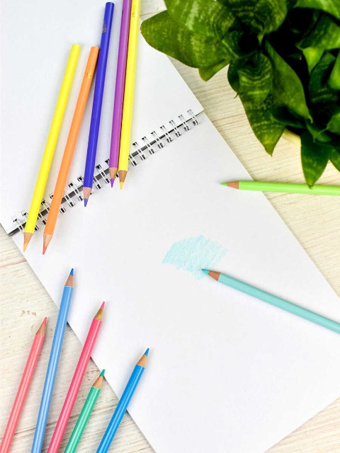 Карандаши цветные 12 цв Пастель, для худ. работ Превью 4