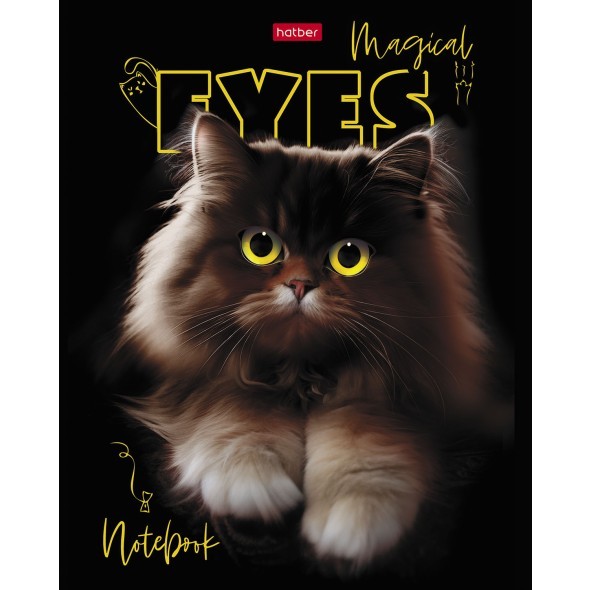 Тетрадь 48л кл Волшебные глаза Превью 0