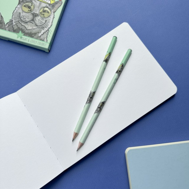 Карандаш ч/гр HB BV EasyGraphix Кот Британец принт б/ластика Превью 3