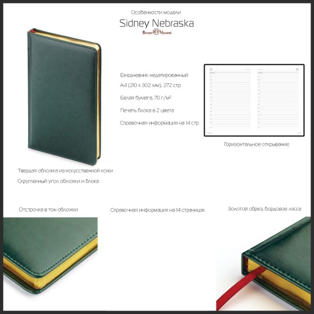 Ежедневник А4 Sidney Nebraska зеленый кожзам недат Превью 1