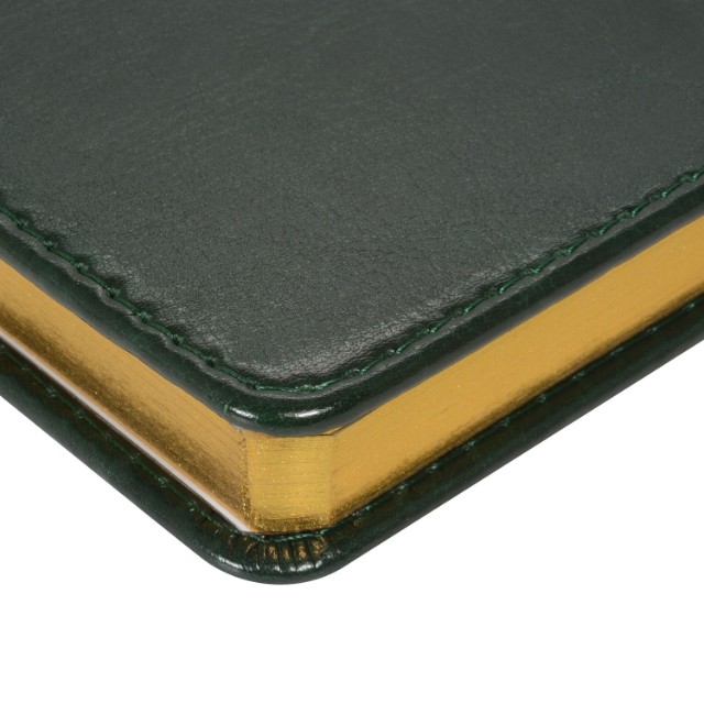 Ежедневник А4 Sidney Nebraska зеленый кожзам недат Превью 5