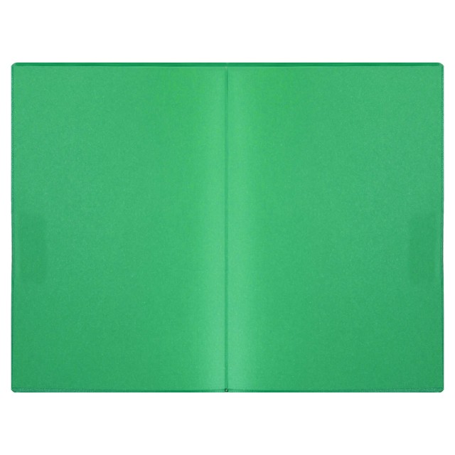 Ежедневник А6 2025г Escalada Бейбискин зелёный (кожзам Превью 4