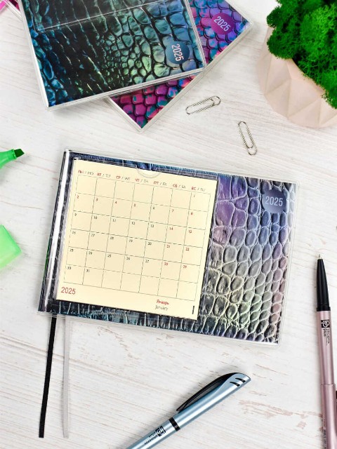 Еженедельник А6+ 2025г Escalada Змея хром ( пвх: мягкий Превью 9