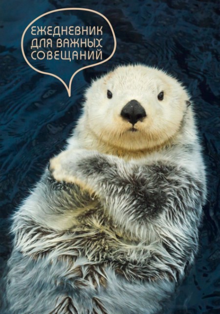 Ежедневник А5 Серьезный ежедневник Превью 2