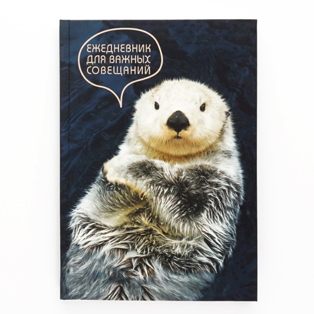 Ежедневник А5 Серьезный ежедневник Превью 5