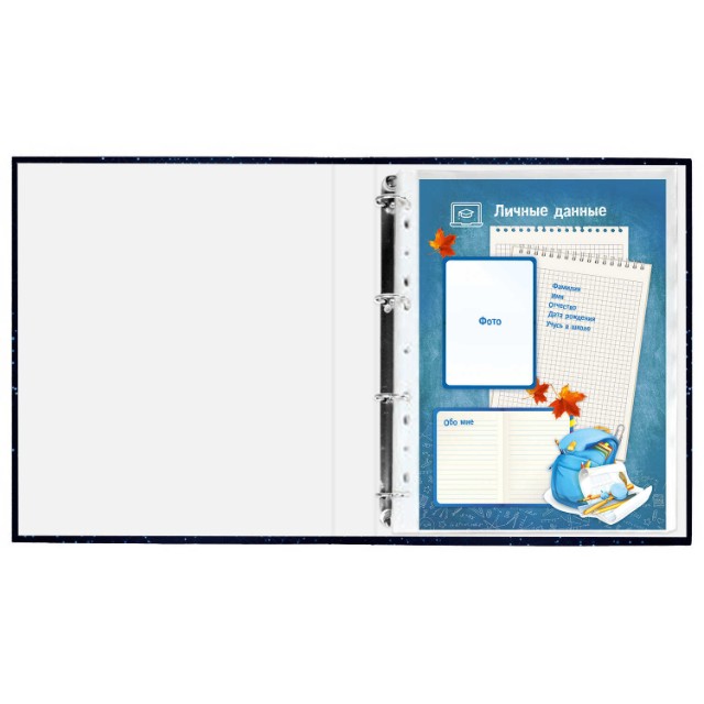 Портфолио-папка Школьника Глобус (файл 20л, 8 вкладышей) Превью 1