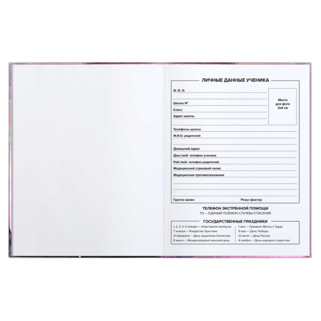 Дневник ст кл Загадочная девушка Превью 5