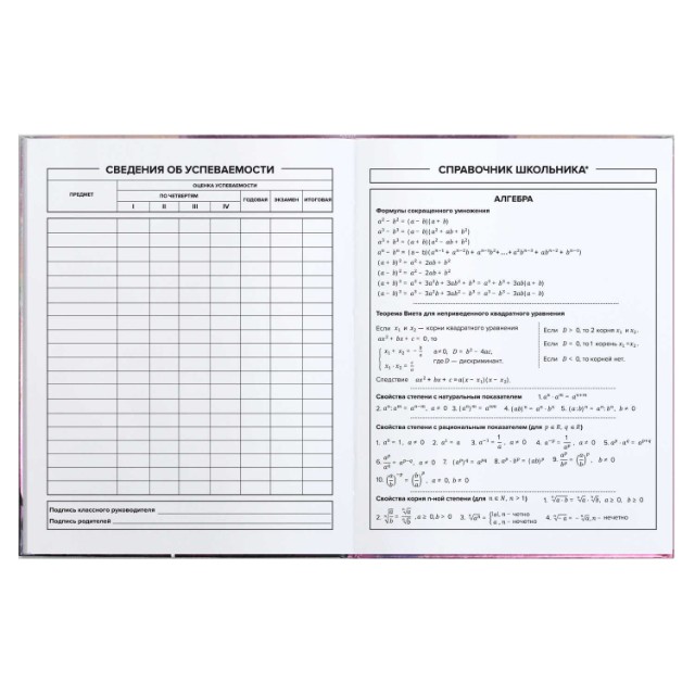 Дневник ст кл Загадочная девушка Превью 9