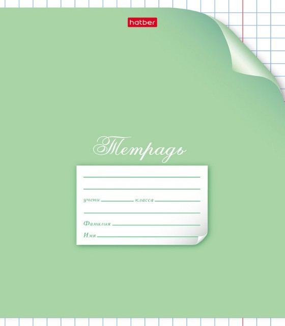 Тетрадь 12л клетка крупная Однотонная. С уголком ассорти Превью 2