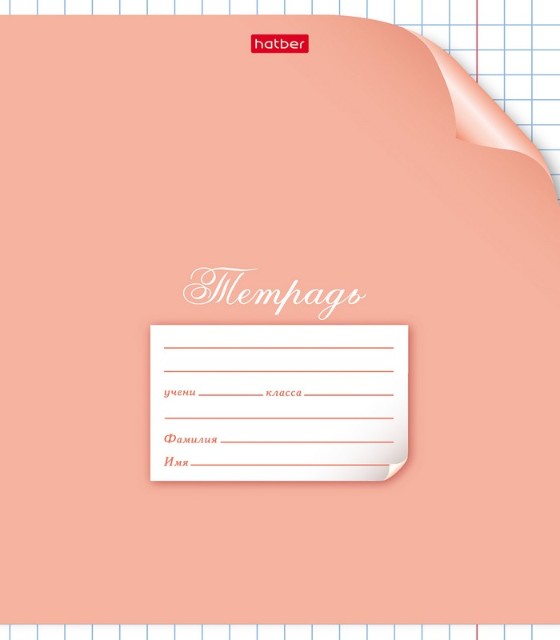 Тетрадь 12л клетка крупная Однотонная. С уголком ассорти Превью 4