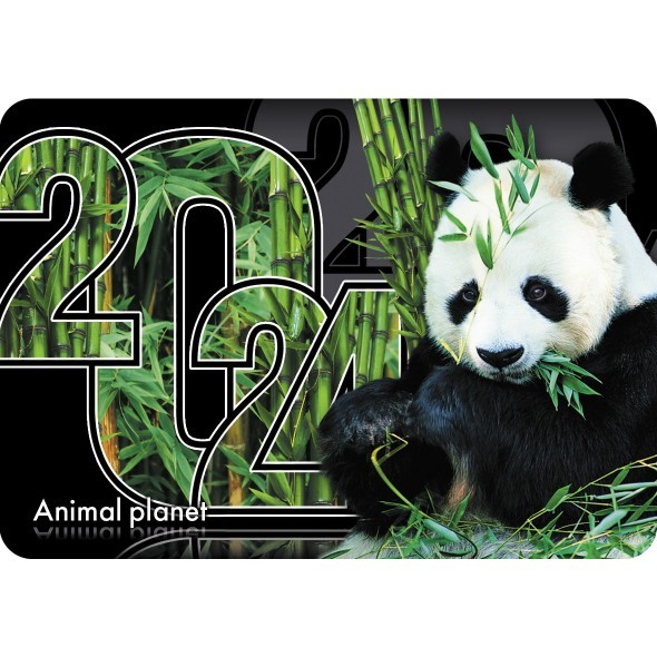 Календарь карманный 2024 Ассорти (81 дизайн в блоке) Превью 6