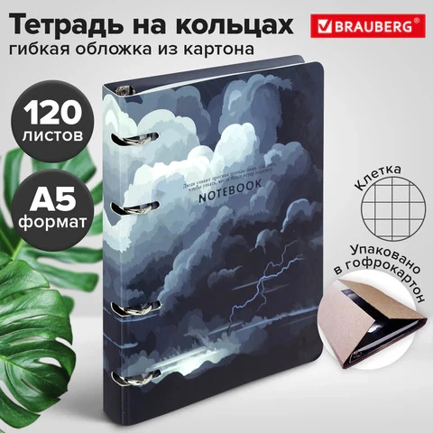 Тетрадь на кольцах 120л Brauberg Clouds