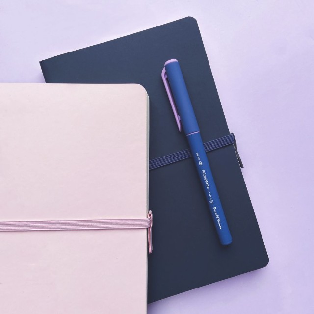 Ручка шариковая синяя BV PrimeWrite. Basic. Navy 1мм Превью 8