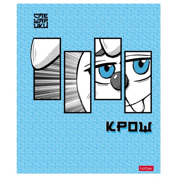 Тетрадь 48л кл Смешарики Превью 1