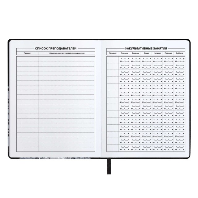 Дневник ст кл иск.кожа Танец с катаной (лейкер) Превью 2