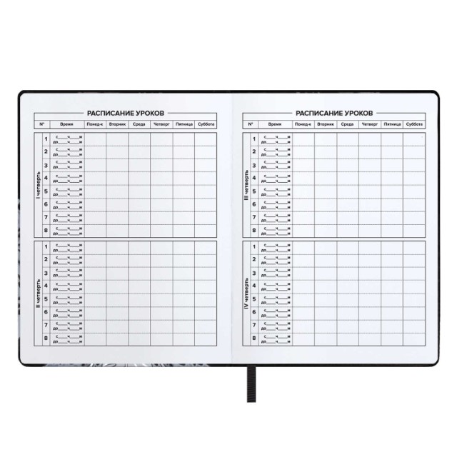 Дневник ст кл иск.кожа Танец с катаной (лейкер) Превью 8